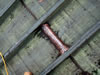 historical-copper-roofing-rehabilitation-repair-slate-roof-repair-(7)